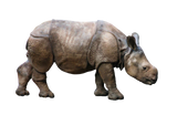 Les pilules Rhino expliquées : risques, effets secondaires et alternatives plus sûres